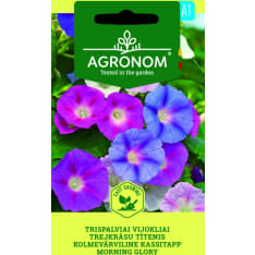 Aitoelämänlanka siemen