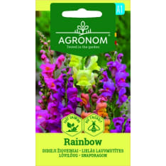 Leijonankita Rainbow siemen