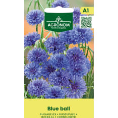 Ruiskukka Blue Ball siemen