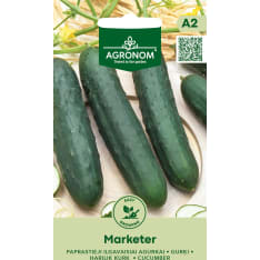 Kurkku Marketer siemen