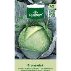 Valkokeräkaali Brunswick siemen