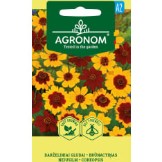 Tiikerikaunosilmä siemen