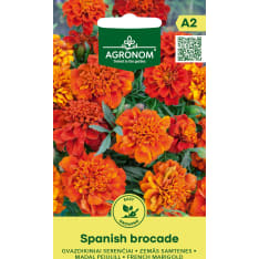 Samettikukka Spanish Brocade siemen