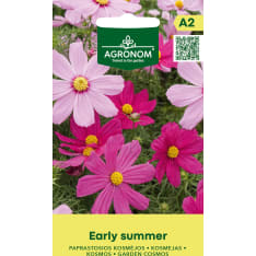 Kosmoskukka Early Summer siemen