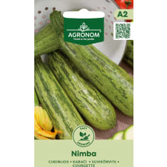 Kesäkurpitsa Nimba siemen