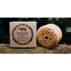 Prospektus maissinjyvällä makea 3 kg nuolukivi