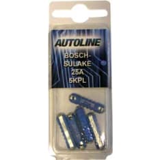 Autoline Bosch 25A 5pc porcelain fuse
