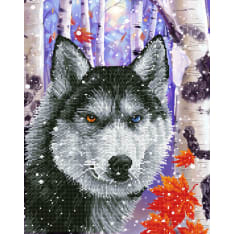 Diamond Dotz Forest Wolf 50x40cm timanttityö