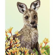 Diamond Dotz Kangaroo Paw 51x41cm diamond work