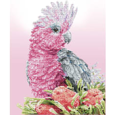 Diamond Dotz Pink Galah & Banksias 41x51cm timanttityö
