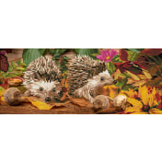 Diamond Dotz Hedgehog scramble 62x25cm timanttityö
