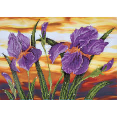Diamond Dotz Iris Sunset 52x37cm diamond work