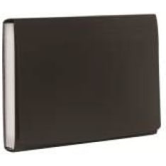 Pentel expandable black home folder