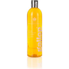 Carr & Day & Martin Gallop Colour Enhancing 500 ml shampoo palominolle ja rautiakselle