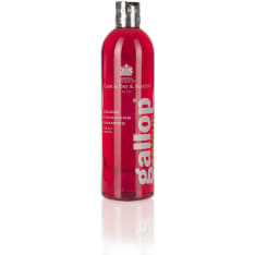 Carr & Day & Martin Gallop Colour Enhancing 500 ml shampoo ruunikolle