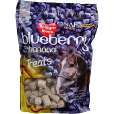 Blueberry & Banana Treats