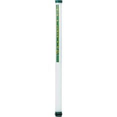 Pallotuubi golfiin