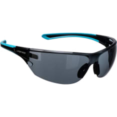 Portwest PS19 KN goggles