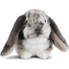 Keycraft Dutch Lop Eared Rabbit Grey 26 cm plush