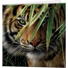 Deluxebase 3D LiveLife Emerald Forest postikortti