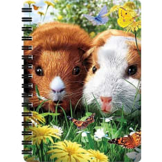 3D LiveLife Jotters - Guinea Pigs