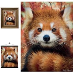 3D LiveLife Pictures Baby Red Panda juliste