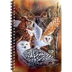 Deluxebase 3D LiveLife Owl Woods kierrevihko