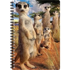 Deluxebase 3D LiveLife Meerkat Gaze kierrevihko