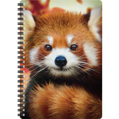 Deluxebase 3D LiveLife Baby Red Panda kierrevihko