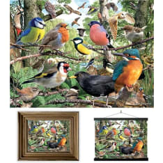3D LiveLife Pictures Nature's Home juliste