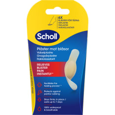 Scholl varpaat 6 kpl rakkolaastari