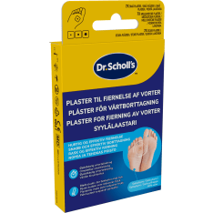 Scholl 21kpl syylälaastarit