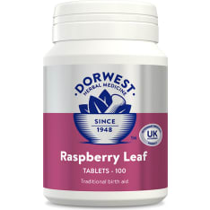 Dorwest Herbs Vadelmanlehti 100 kpl lemmikeille