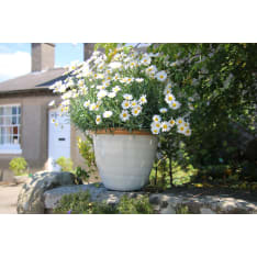 Hortex Honey 33x26,5cm plastic pot