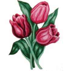 Farnia Tulips 20x25cm canvas work