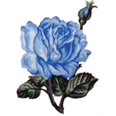 Farnia Rose 20x25cm canvas work