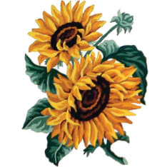 Fernia Sunflowers 20x25cm canvas work