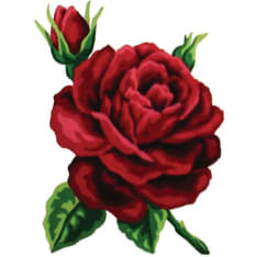 Farnia Rose 20x25cm canvas work