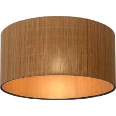 Lucide Magius plafondi