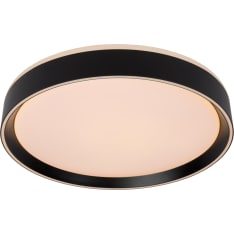 Lucide Nuria plafondi