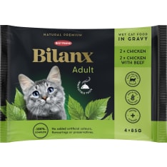 Best Friend Bilanx Adult 4x85 g lajitelma kastikkeessa kissalle