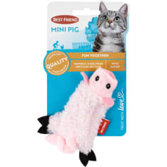 Best Friend Mini Pig cat toy