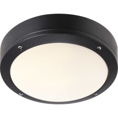 Nordlux Desi 22 cm plafondi
