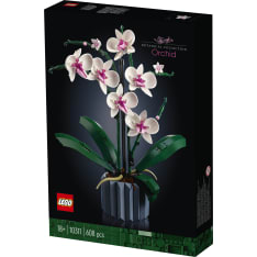 LEGO Icons Botanical 10311 Orkidea