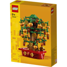 LEGO 40648 Rahapuu
