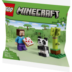 LEGO Minecraft 30672 Steve ja pikkupanda