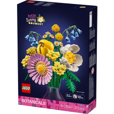 LEGO Botanicals 10347 Pieni aurinkoinen kukkakimppu