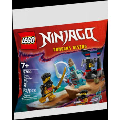 LEGO Ninjago 30700 Arinin ja dragonialaisen taistelu