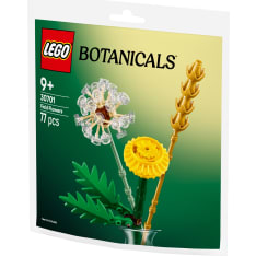 LEGO Botanicals 30701 Niittykukat