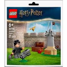 LEGO Harry Potter 30706 Huispausoppitunti